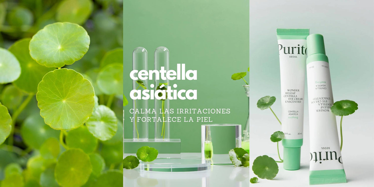 centella asiatica beneficios